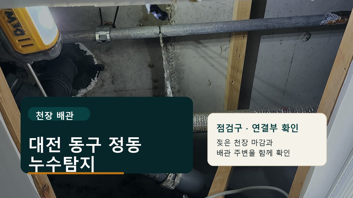대전 동구 정동 누수탐지 작업 요약 자료