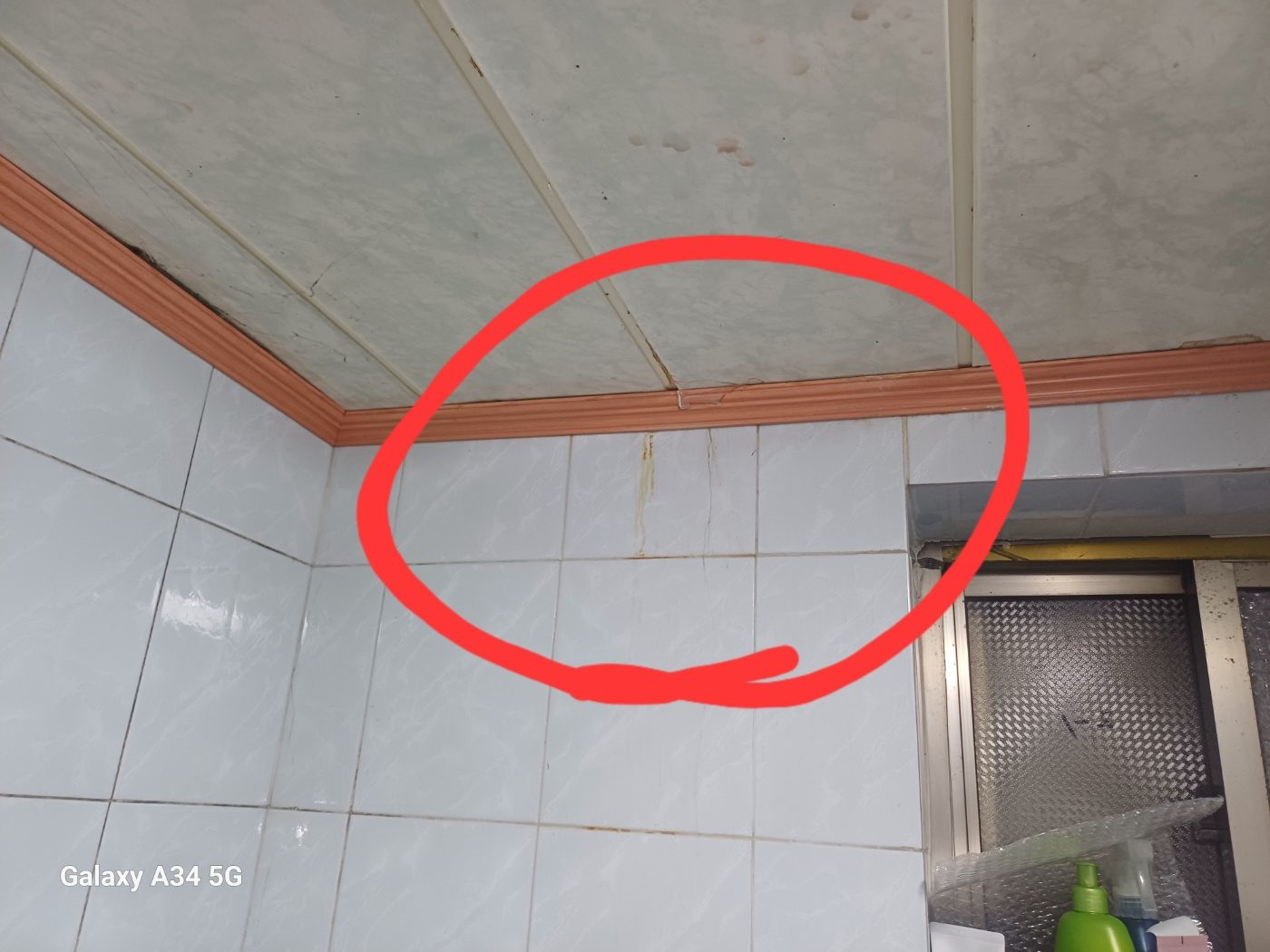 욕실 천장 모서리와 몰딩 가까운 얼룩
