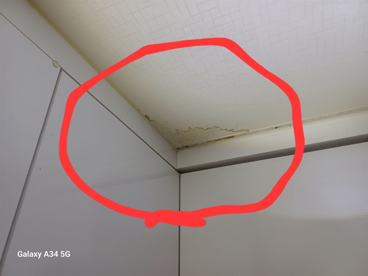 계룡 신도안면 정장리 주방장 위 천장 물자국