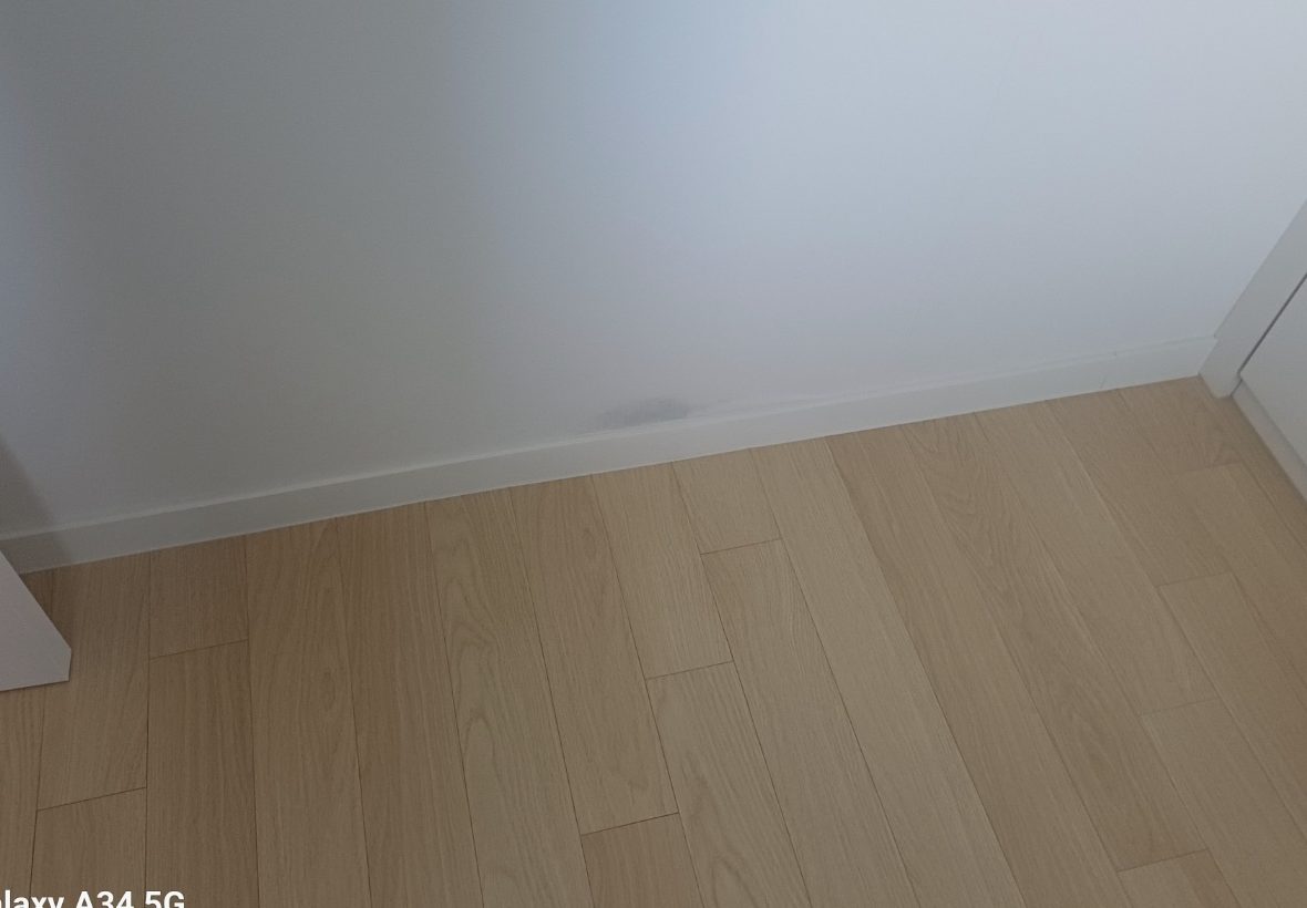 평택 팽성읍 본정리 벽 하단 물자국