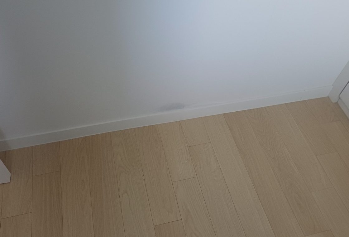 평택 팽성읍 본정리 벽 하단과 걸레받이 주변 물자국